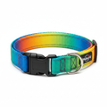 Collar Ajustable para Perro